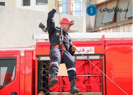 الفرق بين رواتب الموظفين الجدد وأصحاب الخبرة