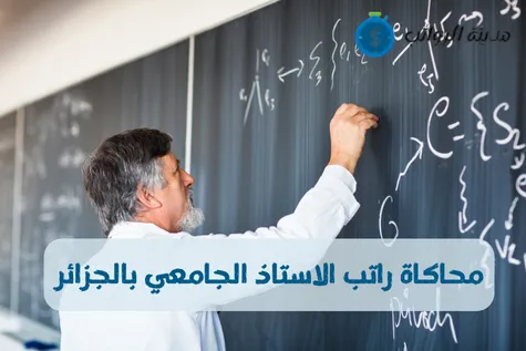 محاكاة راتب الاستاذ الجامعي بالجزائر ومكونات راتب الاستاذ الجامعي 2025