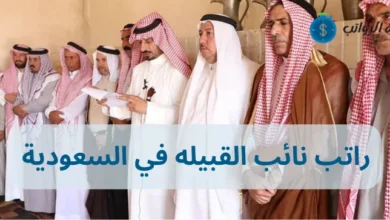 كم راتب نائب القبيله في السعودية وهل هناك راتب رسمي لنائب القبيلة في السعودية؟