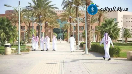 تفصيل الدرجات الأكاديمية لأعضاء هيئة التدريس وتأثيرها على الراتب