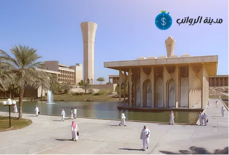 مقارنة بين الرواتب في الجامعات الحكومية والجامعات الخاصة