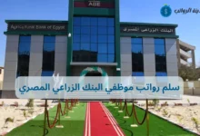 سلم رواتب موظفي البنك الزراعي المصري وأسرار الترقيات