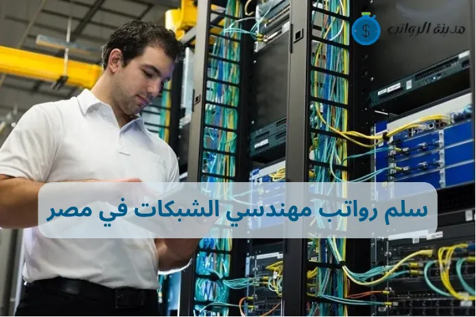 سلم رواتب مهندسي الشبكات في مصر بين الخبرة والشهادات