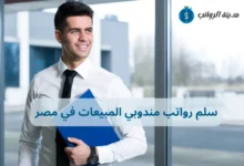 سلم رواتب مندوبي المبيعات في مصر وكيفية زيادة دخلك الشهري