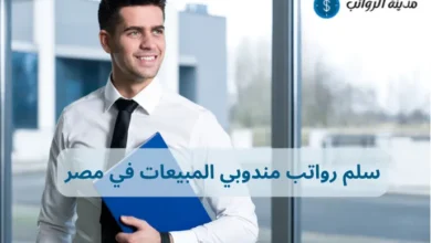 سلم رواتب مندوبي المبيعات في مصر وكيفية زيادة دخلك الشهري