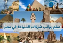 سلم رواتب شركات السياحة في مصر وأبرز الوظائف المطلوبة