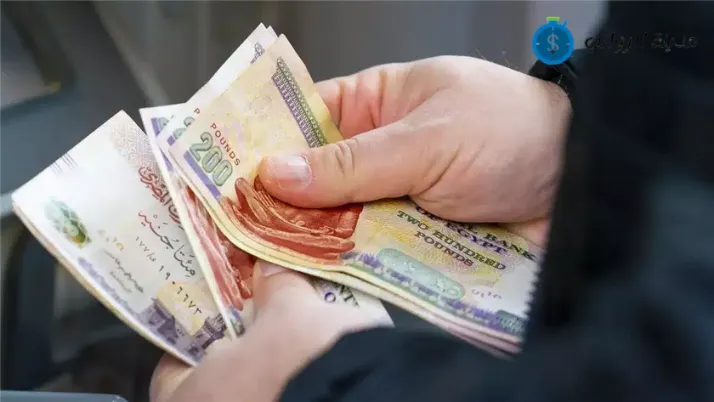 سلم رواتب موظفي التأمينات الاجتماعية في مصر